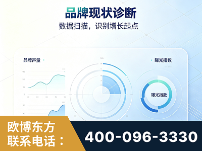 黔西南布依族-品牌现状诊断