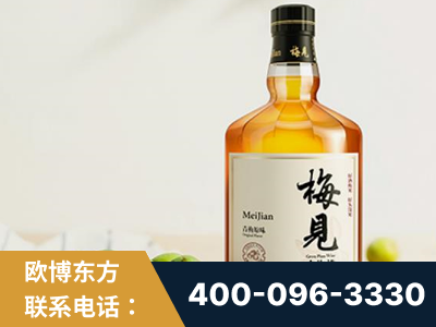 黔西南布依族-梅见青梅酒
